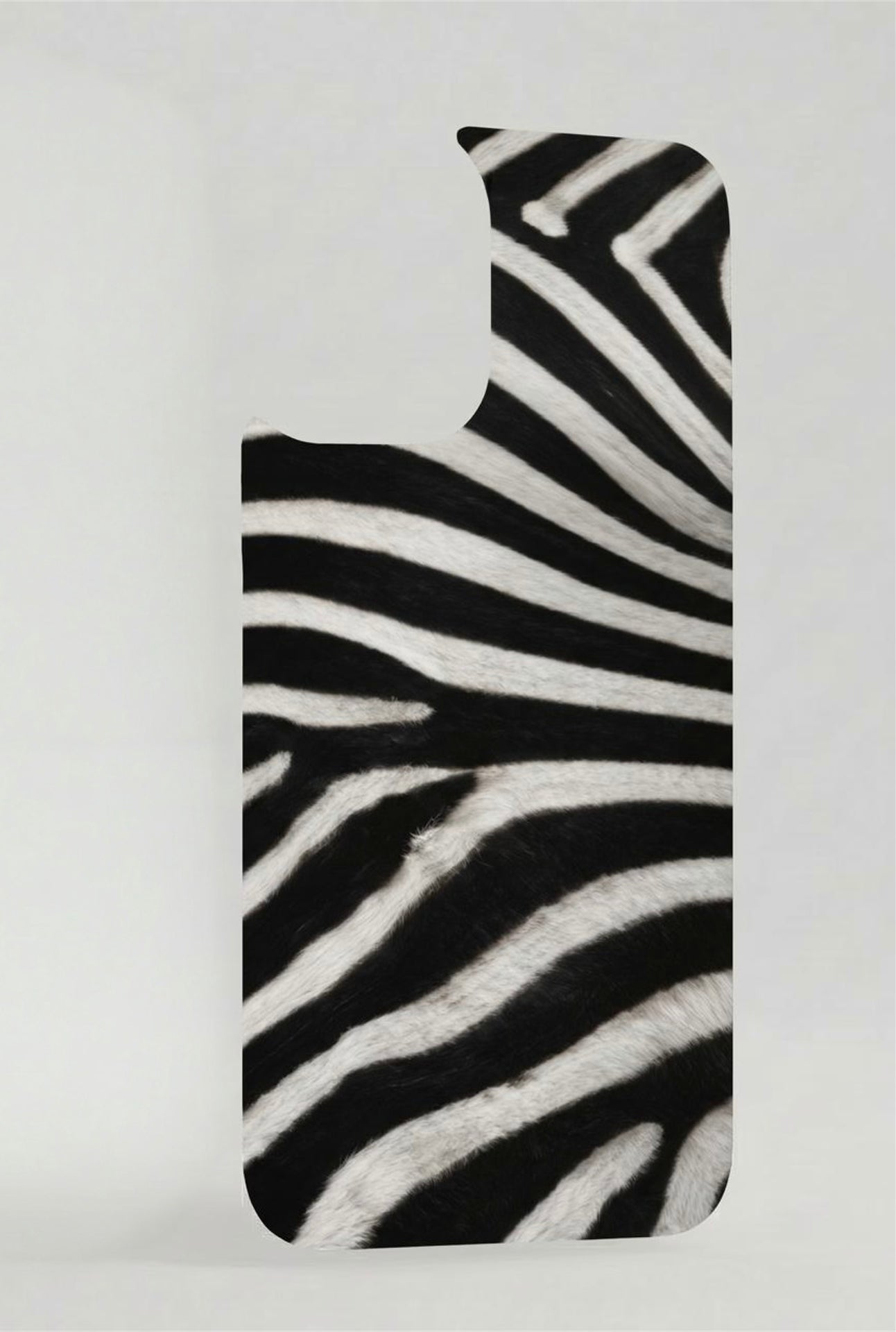 PRINTS DE PLACAS INDIVIDUALES